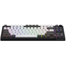 Клавіатура HATOR Skyfall 80 PRO Wireless Grey-Black Silent Switches (HTK4180UA)