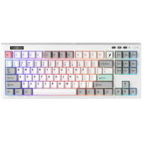 Клавіатура 1stPlayer NEO87 Wireless Frostwave (NEO87-FW-TLD)