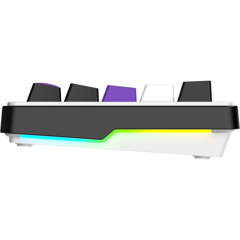 Клавіатура HATOR Hellyberry HK60 White-Violet