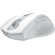 Мишка A4Tech Fstyler FG55S Plus White