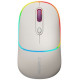 Мишка Canyon MW-22 Dual Band RGB Wireless Rice (CNS-CMSW22RC)