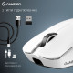 Мишка Gamepro Asgard Odin 8K (GM035W)