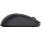 Мишка Dell Full-Size Wireless Mouse MS300 (570-ABOC)