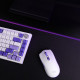 Мишка Proove Gaming Rate Special Edition White Purple