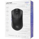 Мишка Proove Gaming Jester 8K Black