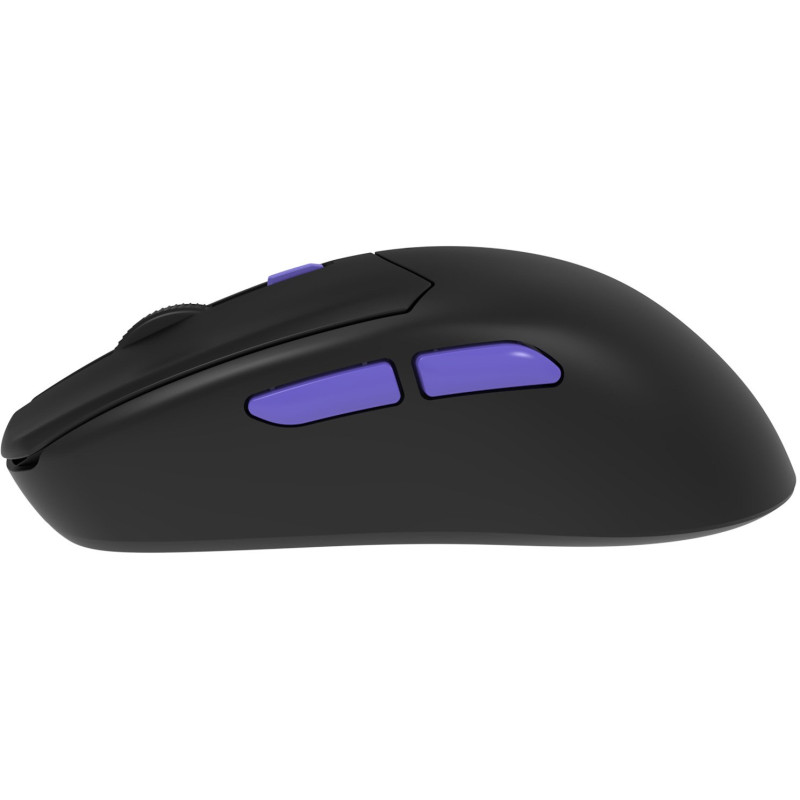 Мишка Proove Gaming Everon Black (WMEV00022001)