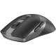 Мишка A4Tech Fstyler FG50 Plus Black