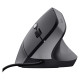 Мишка Trust Bayo 2 Ergonomic Black (25144)
