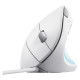  Мишка Trust Verto Ergonomic, USB-A, біла (25133_TRUST)