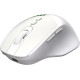 Мишка OfficePro M520W Wireless/Bluetooth White (M520W)