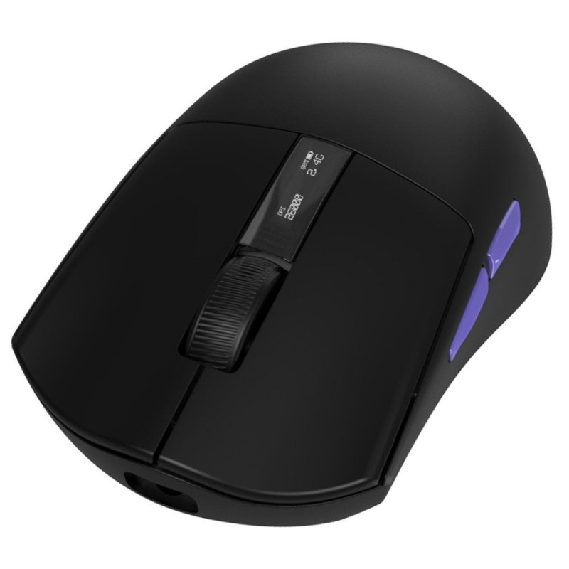 Миша Proove Gaming Jester Black (WMJS00022001)