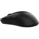 Мишка Ajazz AJ159 APEX Wireless (AJM159-AB) Black