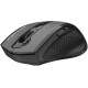 Мишка A4Tech Fstyler FG55S Plus Grey