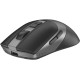 Мишка A4Tech FB50CS Plus Wireless/Bluetooth Black (4711421002899)