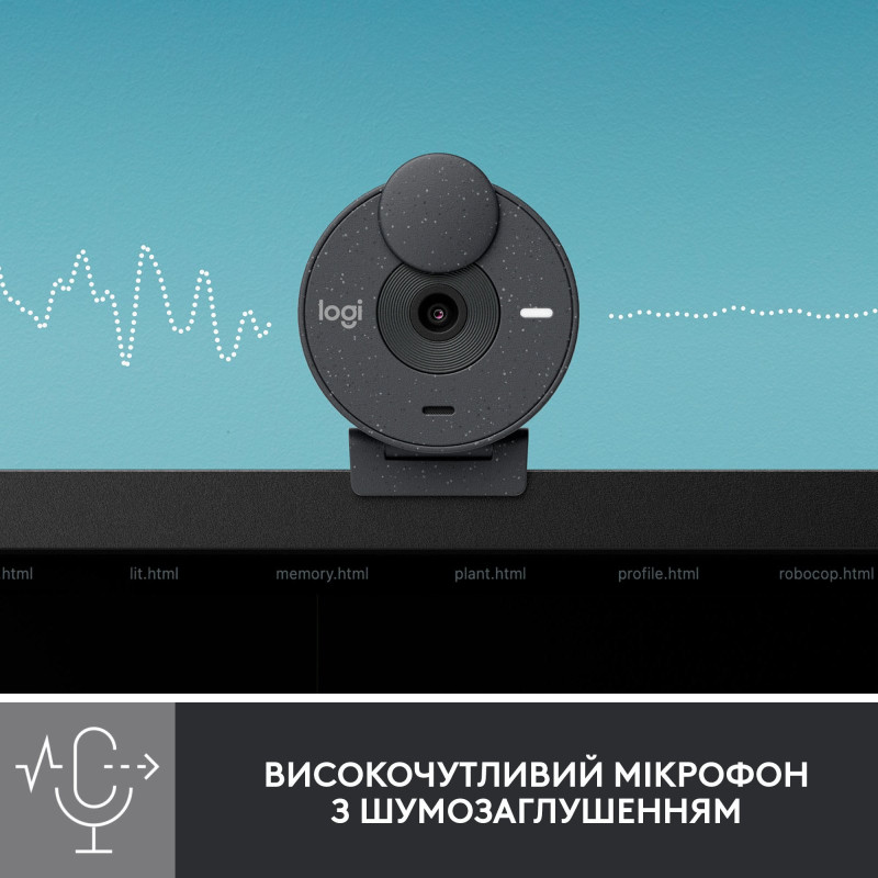 Вебкамера Logitech Brio 300 Graphite (960-001436)
