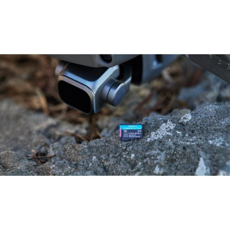 Карта пам'яті Kingston 64GB microSDXC сlass 10 UHS-I U3 V30 A2 Canvas Go Plus G4 (SDCG4/64GB)