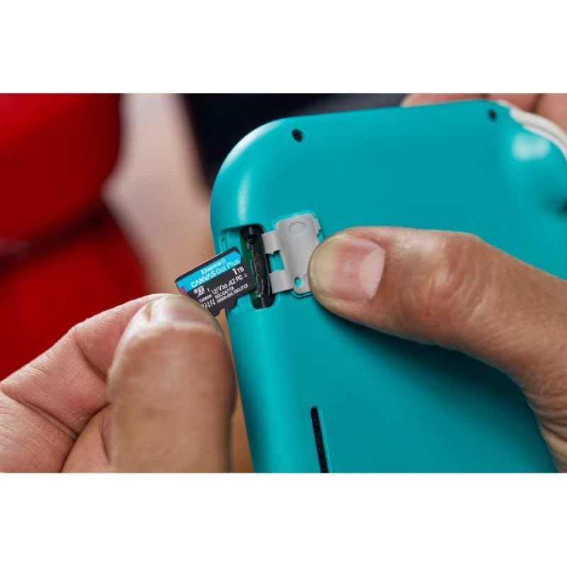 Карта пам'яті Kingston 64GB microSDXC сlass 10 UHS-I U3 V30 A2 Canvas Go Plus G4 (SDCG4/64GB)