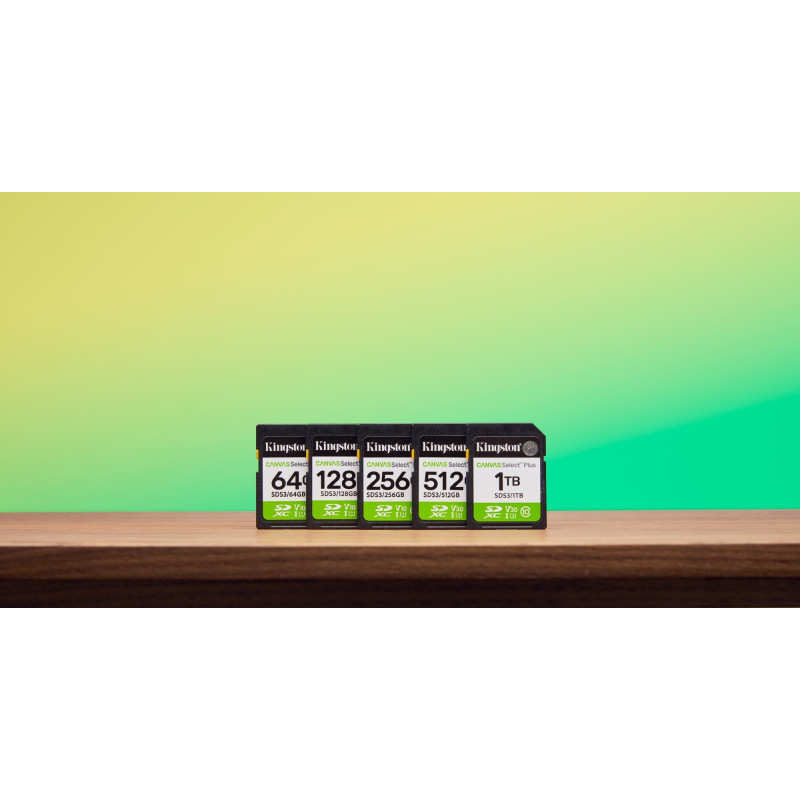 Карта пам'яті Kingston SDXC 128GB UHS-I Class 10 Canvas Select Plus (SDS3/128GB)