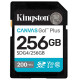 Карта пам'яті Kingston SDXC 256GB Canvas Go! Plus G4 Class 10 UHS-I U3 V30 (SDG4/256GB)