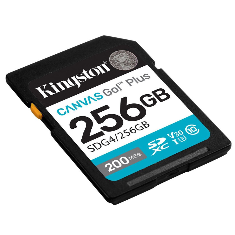 Карта пам'яті Kingston SDXC 256GB Canvas Go! Plus G4 Class 10 UHS-I U3 V30 (SDG4/256GB)