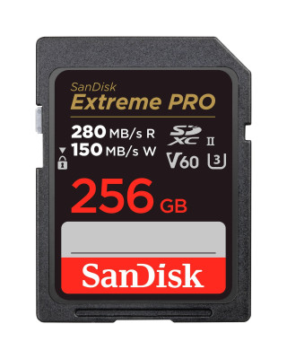 Карта пам'яті SanDisk 256GB SDXC class 10 UHS-I Extreme Pro (SDSDXEP-256G-GN4IN)