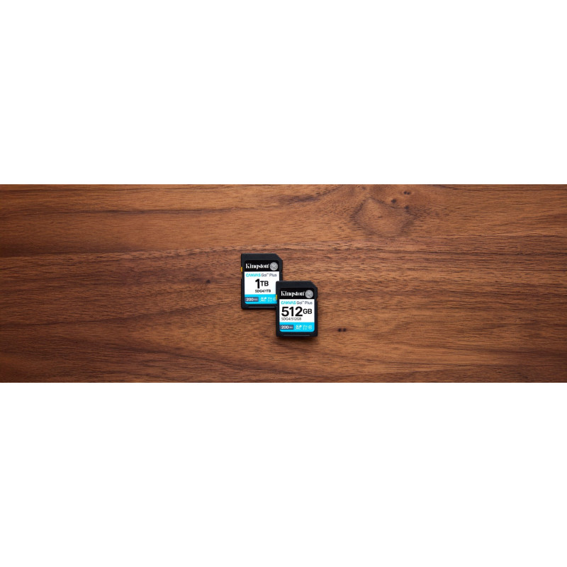 Карта пам'яті Kingston 128GB SDXC 10 UHS-I U3 V30 Canvas Go Plus G4 (SDG4/128GB)