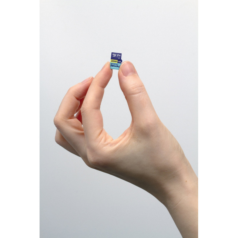 Карта пам'яті GOODRAM 256 GB microSDXC Rival (GGSM3AA-2560R12)