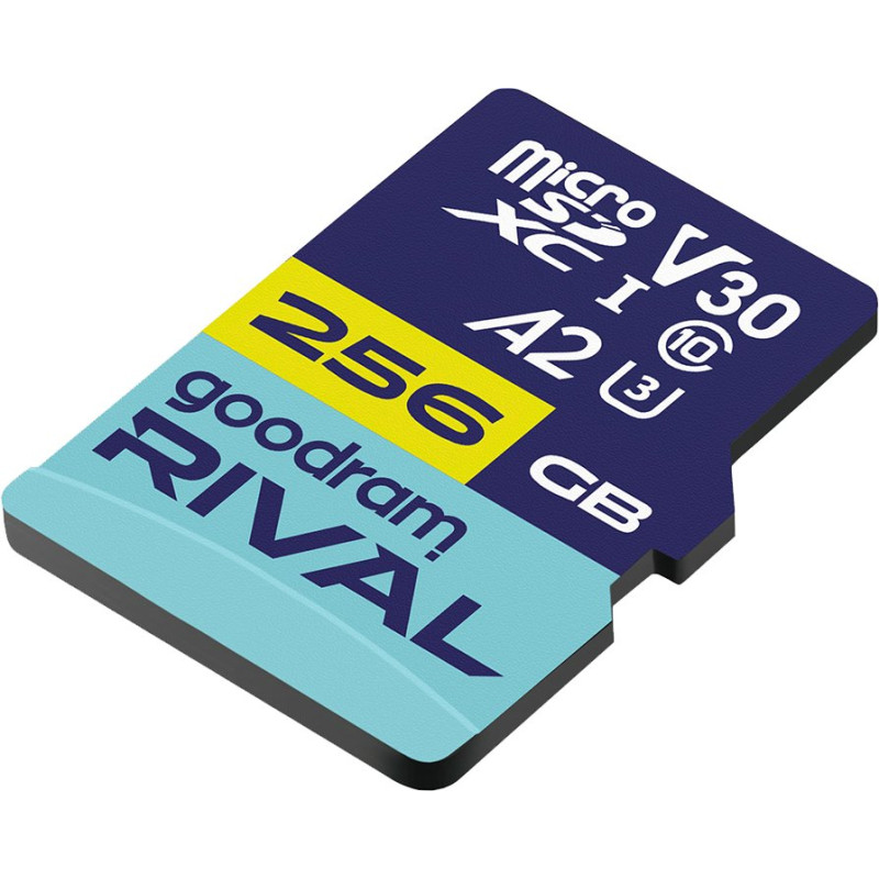 Карта пам'яті GOODRAM 256 GB microSDXC Rival (GGSM2AA-2560R12)