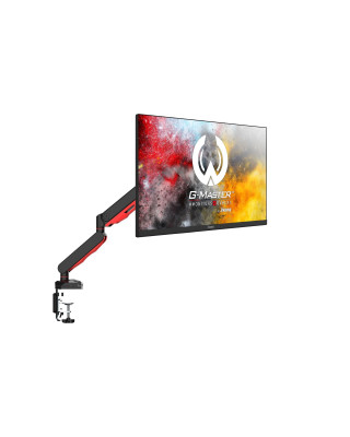 Кронштейн iiyama DSG3001C-R1