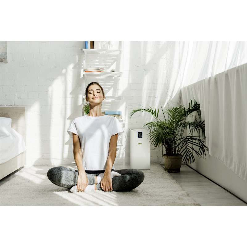 Очисник повітря Karcher AF 50 (1.024-822.0)