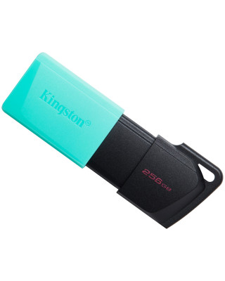 USB флеш накопичувач Kingston 256GB DataTraveler Exodia M USB 3.2 (DTXM/256GB)