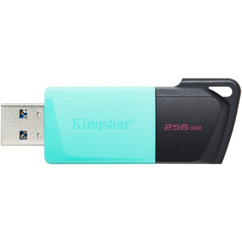 USB флеш накопичувач Kingston 256GB DataTraveler Exodia M USB 3.2 (DTXM/256GB)