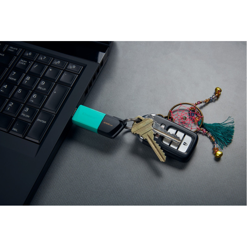 USB флеш накопичувач Kingston 256GB DataTraveler Exodia M USB 3.2 (DTXM/256GB)