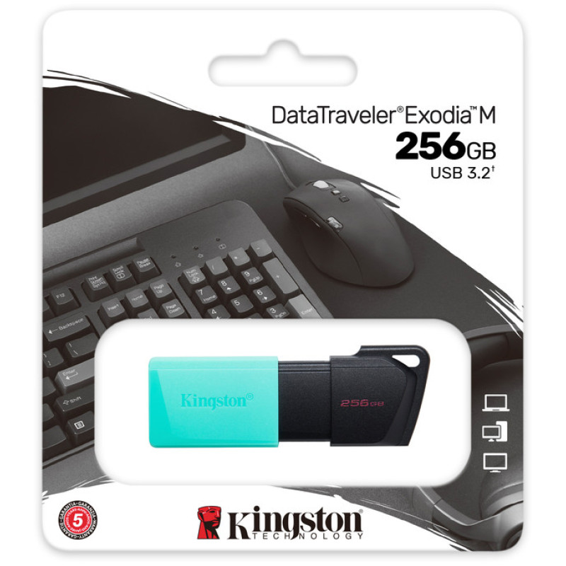 USB флеш накопичувач Kingston 256GB DataTraveler Exodia M USB 3.2 (DTXM/256GB)