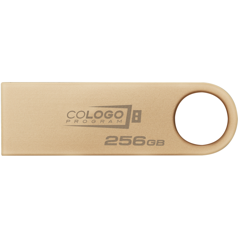 Флешка USB Kingston DataTraveler SE9 G3 256GB Gold (DTSE9G3/256GB)