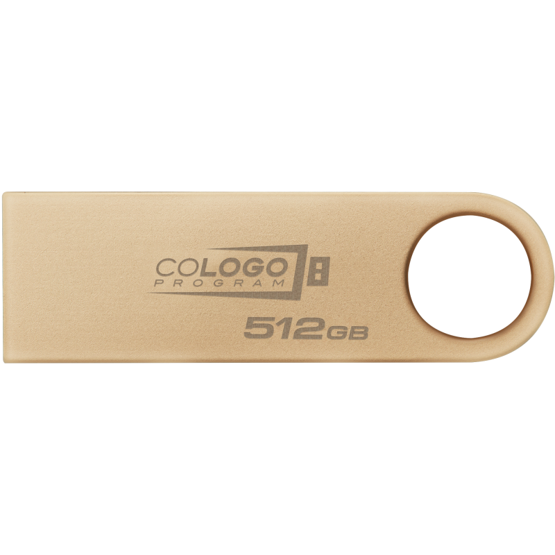 Флешка USB Kingston DataTraveler SE9 G3 512GB Gold (DTSE9G3/512GB)