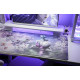 Ігрова поверхня GravaStar SAKURA, XL (900х450х3мм) (GSA8_MPD_SAKURA)