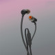Гарнітура JBL Tune 110 Eco Black (JBLT110BLKE)