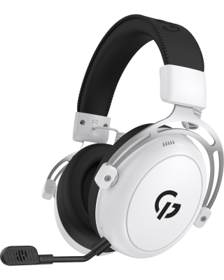 Навушники GamePro Asgard Skald White (HSW160W)