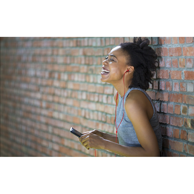 Навушники JBL Tune 310C USB-C Red (JBLT310CRED)