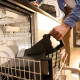 Мультипіч BRAUN TD 5053 IBK