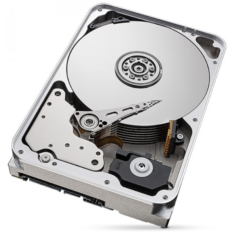 Жорсткий диск Seagate SkyHawk AI 24 TB (ST24000VE002)