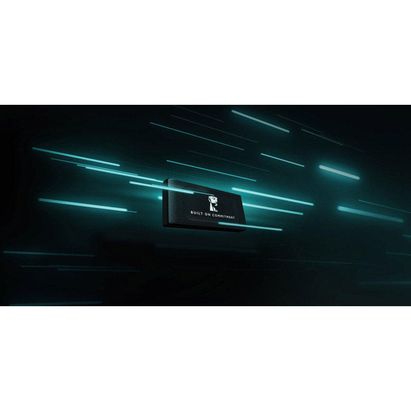 Накопичувач SSD Kingston 2TB USB 3.2 Gen 2 Type-C XS1000 (SXS1000/2000GA)