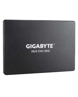 SSD накопичувач GIGABYTE GP-GSTFS31256GTND