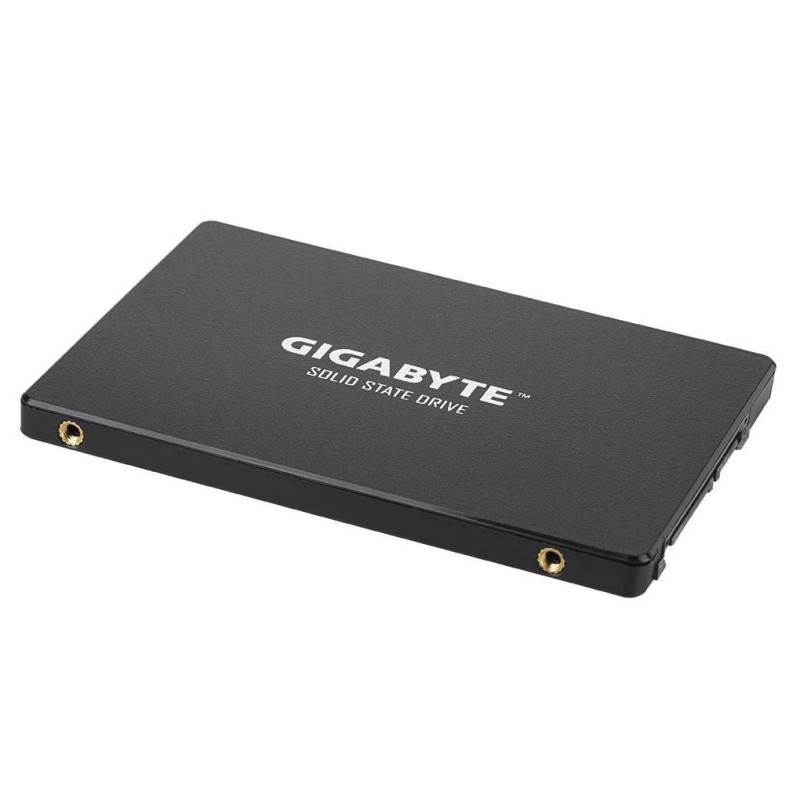 SSD накопичувач GIGABYTE GP-GSTFS31256GTND