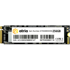 Накопичувач SSD Atria X500S 256 GB (ATNVMX500S/256)