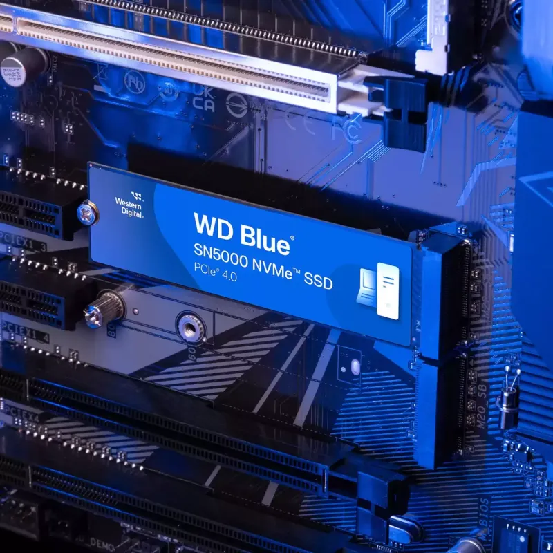 Накопичувач SSD WD M.2 2280 500GB SN5000 (WDS500G4B0E)