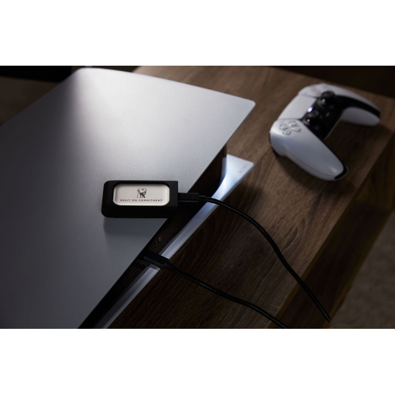 Накопичувач SSD Kingston USB 4.0TB XS2000 BoC Silver (SXS2000/4000GA)