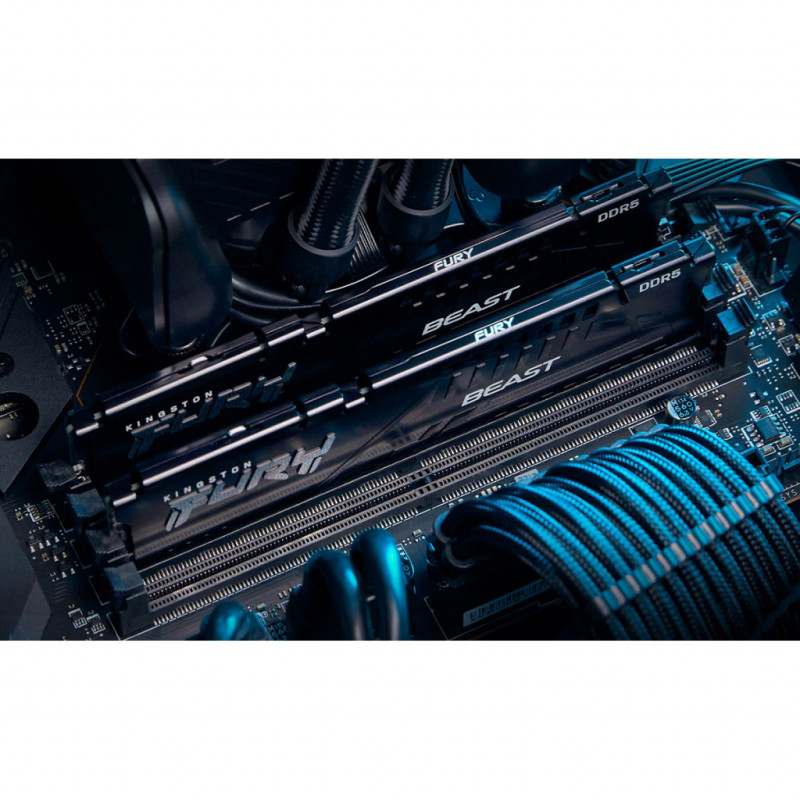 Пам'ять Kingston FURY 16 GB DDR5 5600 MHz Beast Black (KF556C40BB-16)