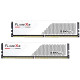 Модуль пам'яті G.Skill Flare X5 White DDR5-6400 32GB (2x16GB) (F5-6400J3240G16GX2-FX5W)